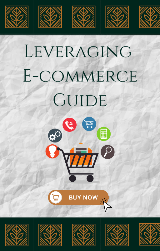 Leveraging E-commerce Guide